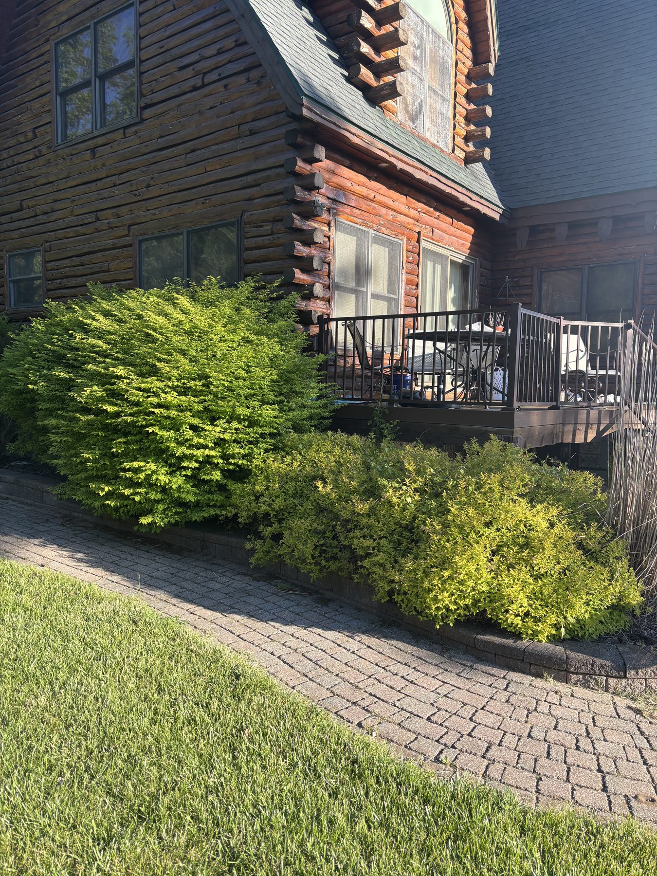 Hedge & Shrub Trimming