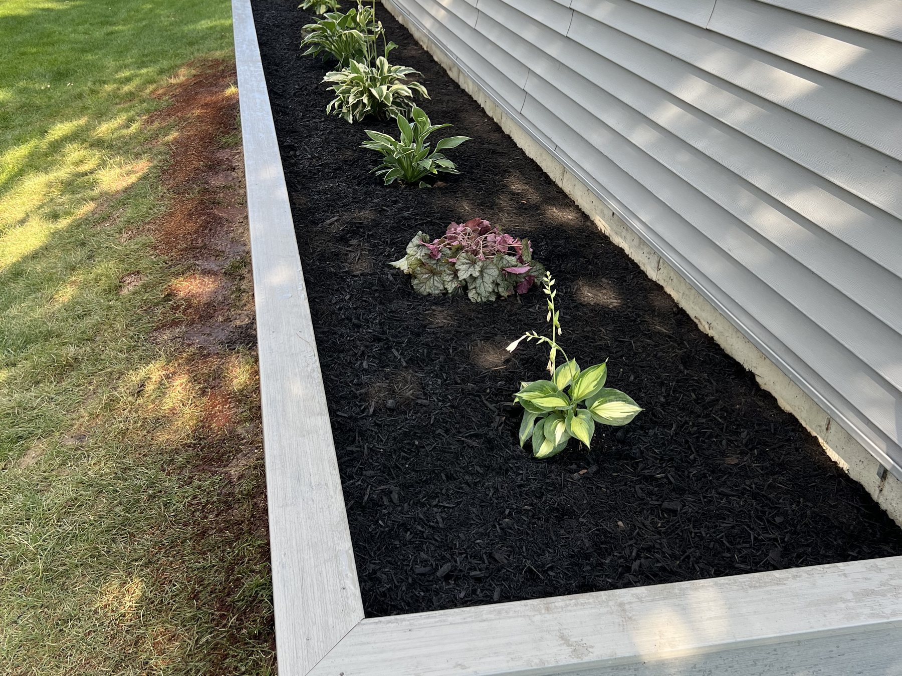 Mulch Installation
